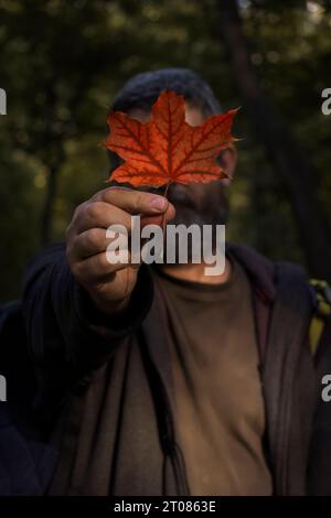 Ritratto autunnale di un uomo nella foresta. Un uomo adulto ha una bella foglia di acero rosso davanti al viso. Foto Stock