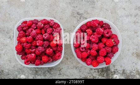 Lamponi rossi freschi in due contenitori di plastica. Esposizione piatta di lamponi freschi di stagione, in cestini per la colazione su sfondo grigio, vista dall'alto. Foto Stock