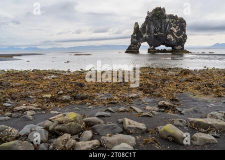 Lo Hvitserkur Basalt Stack nell'Islanda nordoccidentale Foto Stock