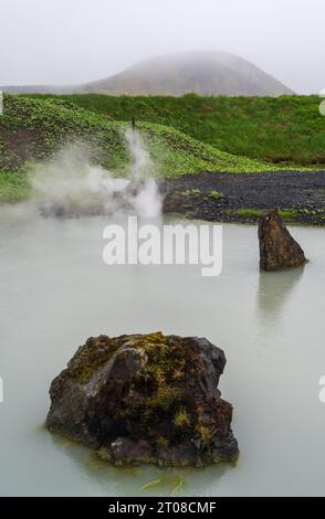 L'area geotermica di Hveradalir in Islanda in un Foggy Summer Day Foto Stock