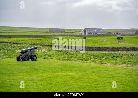 Vecchio canone accanto a Skaill House, Orcadi Island, in piedi su un prato, vista da lontano, Kirkwall, Scozia Foto Stock