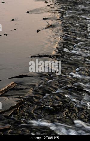 Detriti e traversate alla diga attraverso il fiume Lahn nel Limburg an der Lahn, Assia, Germania. Foto Stock