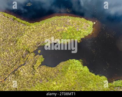 Vista aerea, vista dall'alto della palude circostante di Loch Ba, un lago d'acqua dolce su Rannoch Moor, Highlands, Scozia, Regno Unito Foto Stock