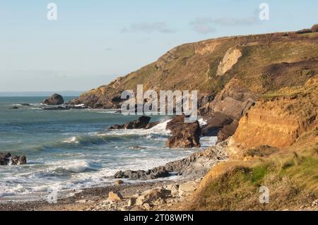 Dollar Cove, Gunwalloe, Cornovaglia, Regno Unito - John Gollop Foto Stock