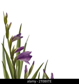 Pianta dei gladioli acquerelli. Cornice floreale con fiori viola, gemme e foglie dipinte a mano illustrazione isolata su sfondo bianco. Botanico Foto Stock