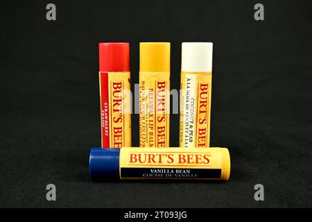 Burt's Bees lip Balm Foto Stock