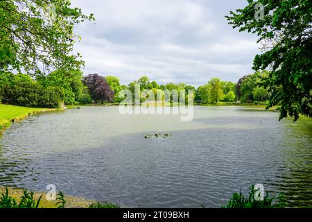 Vista del Maschteich con la natura circostante allo Stadtpark di Hannover. Foto Stock