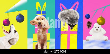 Collage d'arte contemporanea. Arte moderna creativa e divertente. Set composto da poster con animali domestici, cani, racoon con regali, regali per le vacanze invernali. Foto Stock