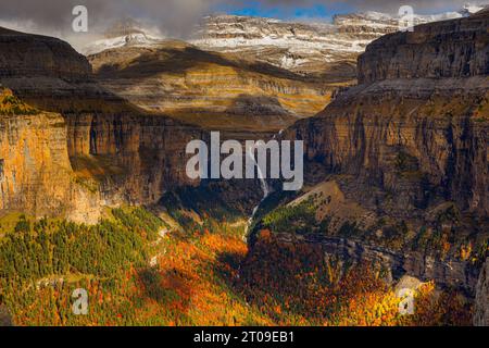 Vista aerea fiume veloce con massi che scorrono tra fitti boschi con alti alberi colorati e lussureggianti foglie nella natura selvaggia della Spagna Foto Stock