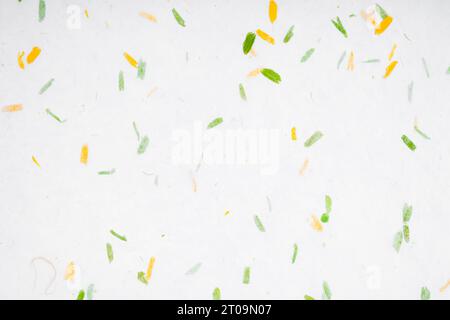 Carta di gelso fatta a mano riciclata con fiori e foglie. Foto Stock