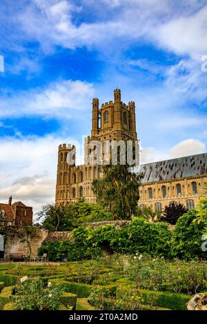 Il lato sud della cattedrale di Ely dal Deanery Garden mostra la torre principale e due torri rotonde della St Katherine's Chapel, Cambridgeshire, Inghilterra. Foto Stock