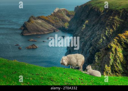 La spettacolare costa di Hermaness su Unst, Isole Shetland. Foto Stock