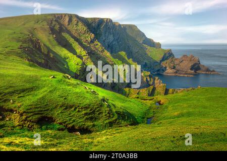 La spettacolare costa di Hermaness su Unst, Isole Shetland. Foto Stock