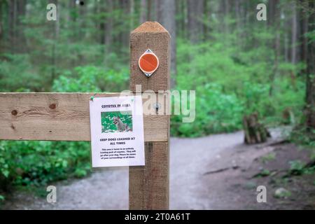 Cartello segnaletico Coyotes in area all'ingresso di un sentiero escursionistico nella foresta. Avviso di percorso naturalistico a North Vancouver, British Columbia, Canada Foto Stock