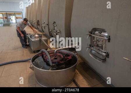 Chateau Cheval blanc, Saint-Émilion, Gironde, Francia Foto Stock