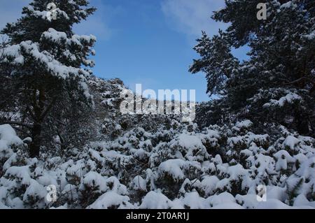 sospiro chiuso in inverno Foto Stock