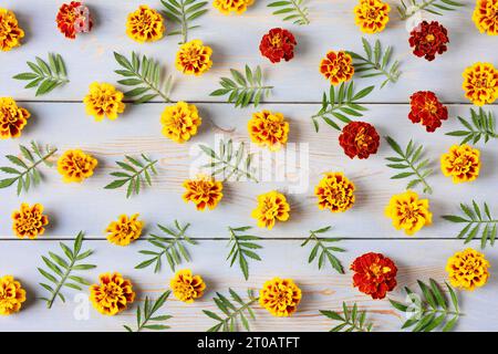 Layout creativo composto da fiori e foglie di calendula su un tavolo di legno blu. Biglietto d'auguri floreale. Sfondo colorato di fiori autunnali con spazio per te Foto Stock