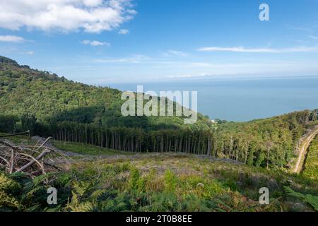 Foto del sentiero che conduce alla spiaggia di Glenthorne nell'Exmoor National Park Foto Stock