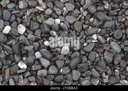 Piccoli sassi, ciottoli grigi bagnati dall'acqua e dalla pioggia. Spiaggia. Il concetto di relax in mare, freschezza. Foto Stock