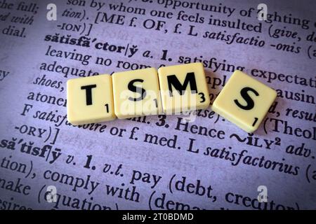 Misure di soddisfazione dei tenant RSH, standard TSM, in lettere scricchissime, sulla definizione del dizionario Foto Stock