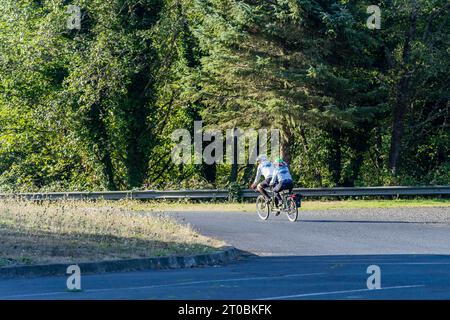 Escursioni in bicicletta nelle foreste della costa dell'Oregon Foto Stock