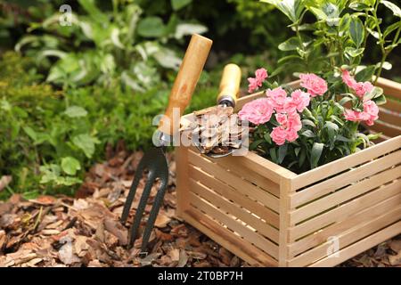 Trucioli di corteccia in scatola di legno, forchetta e cazzuola vicino a  bellissimi fiori pacciamati in giardino, spazio per testo Foto stock - Alamy
