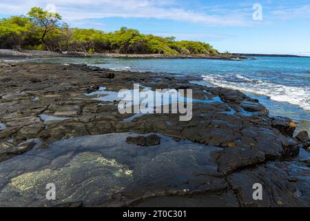 Piscine con maree sul litorale vulcanico sulla Kiholo Bay Beach, Hawaii Island, Hawaii, USA Foto Stock