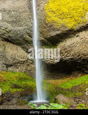 Cascate Latourell al Guy W. Talbot State Park, Columbia River Gorge, Oregon, USA Foto Stock