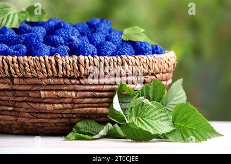 Molti lamponi blu freschi in ciotola di vimini sul tavolo, primo piano Foto Stock