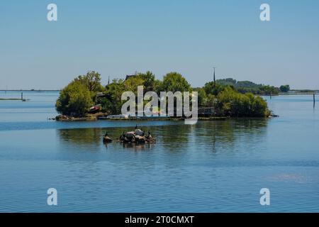 Una piccola isola di pescatori nella sezione grado della Laguna di Marano e grado in Friuli-Venezia Giulia, Italia. Cormorani neri su rocce di primo piano Foto Stock
