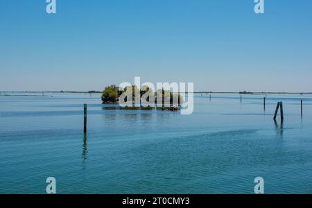 Una piccola isola di pescatori nella sezione grado della Laguna di Marano e grado in Friuli-Venezia Giulia, Italia. Cormorani neri su rocce di primo piano Foto Stock