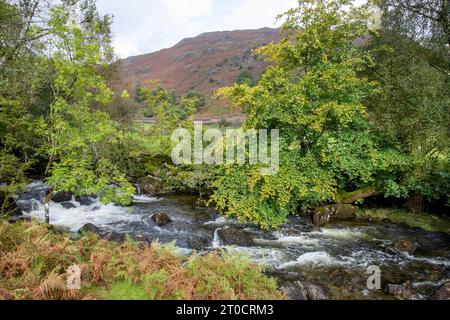 Lake District, Easedale Beck e Valley formano la passeggiata fino a Easedale Tarn, e oltre la cascata Sour Milk Ghyll e il fiume, Cumbria, Inghilterra, Regno Unito Foto Stock