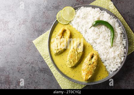 Bengali Shorshe Ilish o Hilsa cotti con salsa di senape serviti con primo piano di riso bianco sul piatto sul tavolo. Vista superiore orizzontale dall'alto Foto Stock