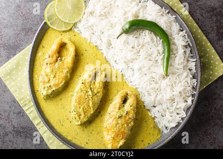 Porzione del popolare pesce Hilsa o Ilish stufato in salsa di senape con contorno di riso bianco da vicino in un piatto sul tavolo. via superiore orizzontale Foto Stock