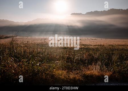 Vista panoramica del campo dorato con sfondo montano su una nebbia Foto Stock