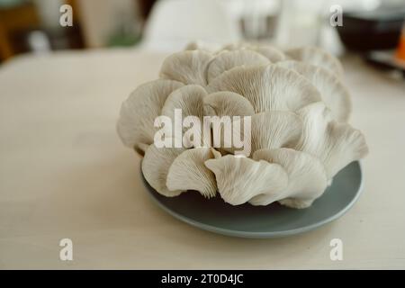 Primo piano dei funghi di ostrica italiani, con una texture particolare Foto Stock