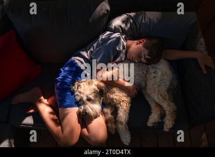 Ragazzo e cane peloso sdraiati insieme in una toppa soleggiata sul divano. Foto Stock