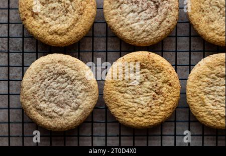 Primo piano del raffreddamento dei biscotti snickerdoodle sulla griglia metallica. Foto Stock