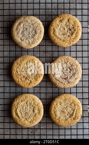 Primo piano del raffreddamento dei biscotti snickerdoodle sulla griglia metallica. Foto Stock