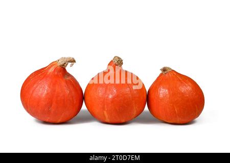 Tre squash "Red Kuri", chiamate anche squash "Hokkaido" su sfondo bianco Foto Stock