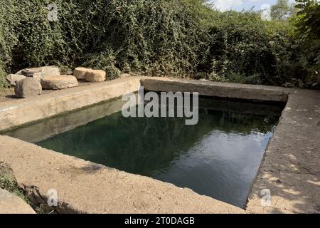 Vista di un Ein EYH ( denominata dopo il soldato israeliano Elon Yaakov Horowitz che è stato ucciso durante il suo servizio militare) una molla rettangolare piscina costruita da esercito siriano prima del 1967 sulle pendici meridionali delle alture del Golan, affacciato sul triangolo delle frontiere tra Israele e Giordania e Siria. est dell'insediamento israeliano e del kibbutz Metzar. L'esercito siriano, prima del 1967, ha creato il rilassamento e la ricreazione piscine presso le sorgenti locali per i loro ufficiali in diversi punti sulle alture del Golan. Tutti loro sono chiamata in ebraico Breichot Ketzinim (ufficiali piscine). Foto Stock