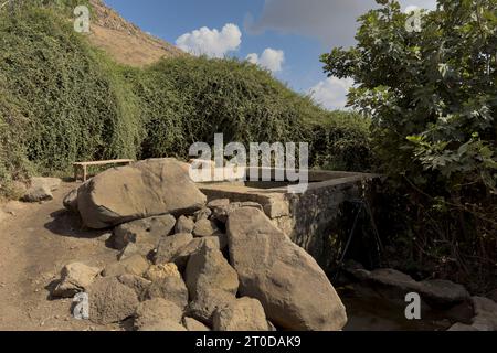 Vista di un Ein EYH ( denominata dopo il soldato israeliano Elon Yaakov Horowitz che è stato ucciso durante il suo servizio militare) una molla rettangolare piscina costruita da esercito siriano prima del 1967 sulle pendici meridionali delle alture del Golan, affacciato sul triangolo delle frontiere tra Israele e Giordania e Siria. est dell'insediamento israeliano e del kibbutz Metzar. L'esercito siriano, prima del 1967, ha creato il rilassamento e la ricreazione piscine presso le sorgenti locali per i loro ufficiali in diversi punti sulle alture del Golan. Tutti loro sono chiamata in ebraico Breichot Ketzinim (ufficiali piscine). Foto Stock