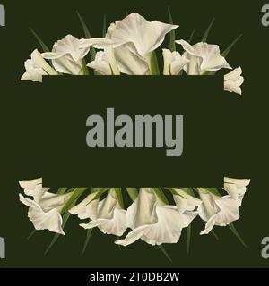 Gladioli acquerelli. Banner floreale, cornice con fiori bianchi, gemme e foglie dipinte a mano illustrazione isolata su sfondo scuro. Botanico Foto Stock