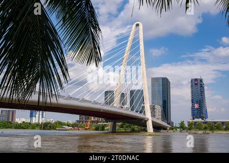 Il ponte Ba Son, ho chi Ming City, Vietnam Foto Stock