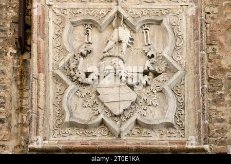 Urbino (Marche - PU). Palazzo Bonaventura (attuale sede dell'università), stemma di Agnesina dei Prefetti di Vico († 1416), moglie di Antonio II da Montefeltro Foto Stock