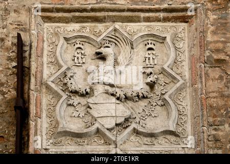 Urbino (Marche - PU). Palazzo Bonaventura (attuale sede dell'università), stemma di Antonio II da Montefeltro (1348-1404) Foto Stock