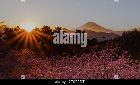 Dal punto di vista del parco Oi Yume-no-Sato, il sole era bello e caldo per un tipico giorno di febbraio. Al tramonto, tuttavia, le temperature sono calate rapidamente, Foto Stock