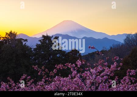 Come osservato dal parco Oi Yume-no-Sato di Oimachi, prefettura di Kanagawa, il sole sembra essere situato a sud del monte Fuji, con un azimut di 248,5 gradi Foto Stock