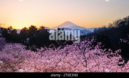 Come osservato dal parco Oi Yume-no-Sato di Oimachi, prefettura di Kanagawa, il sole sembra essere situato a sud del monte Fuji, con un azimut di 248,5 gradi Foto Stock