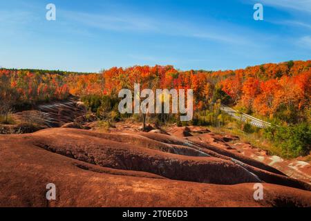 Autum a Cheltenham Badlands a Caledon, Ontario Canada, autunno canadese, alberi di acero rosso Foto Stock